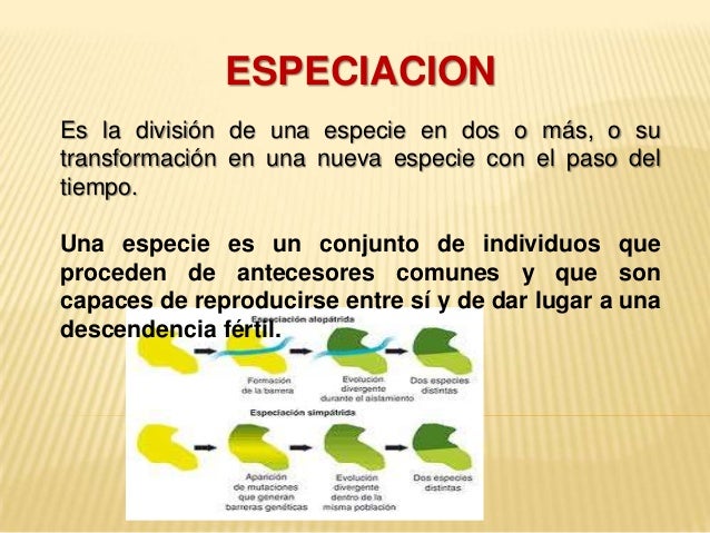 Diapositivas especiacion