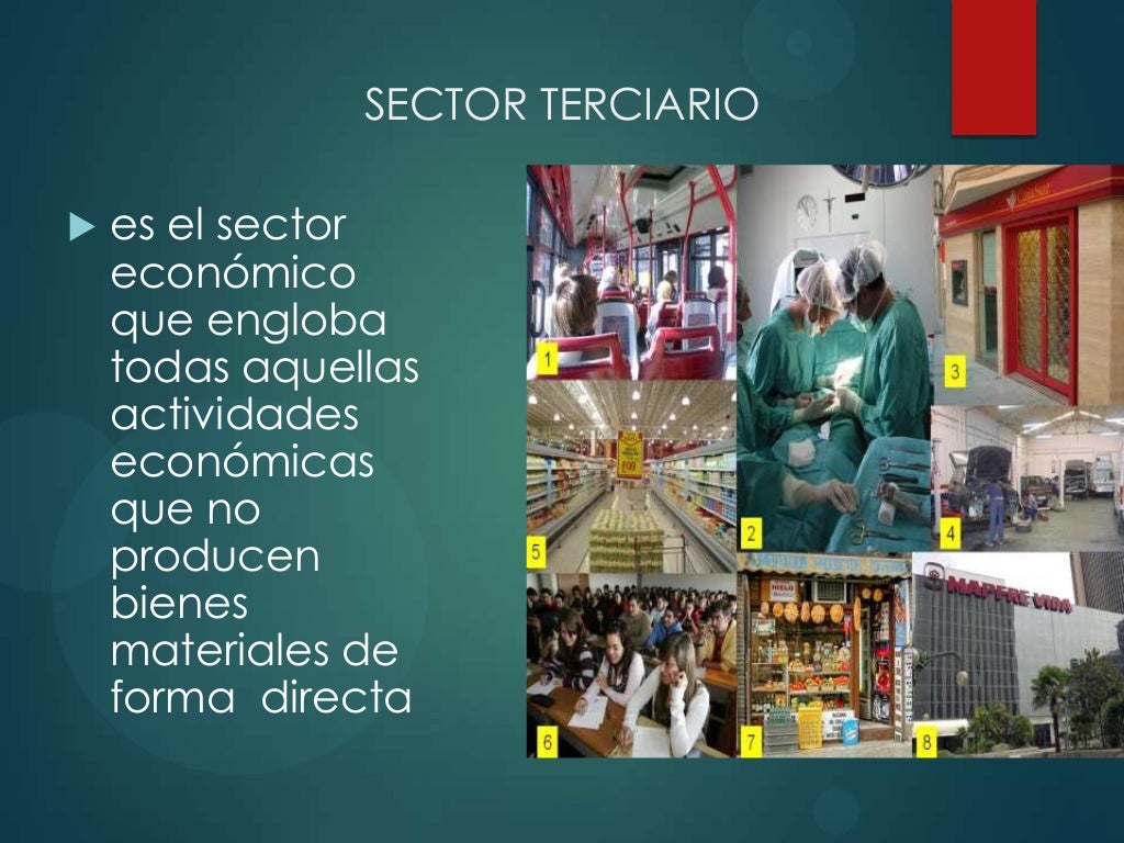 Sector Primario, Secundario y Terciario