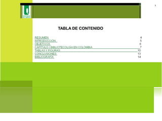 TABLA DE CONTENIDO
3
 