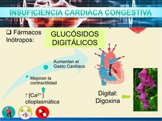 Inotropos Insuficiencia Cardíaca | PPT