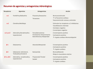 Receptores Agonistas Antagonistas Acción
α 1 Fenilefrina,Nafazolina Prazosina,Doxazosina
Terazosina
Broncoconstricción
↑ la fracuencia cardiaca
Vasoconstricción venosa y arteriolar
α 2 Clonidina,Metildopa Estimulan los receptores α 2 inhibitorios
Vasodilatacion arteriolar
Inotrópico negativo
Cronotrópico negativo
α 1 y α 2 Adrenalina,Noradrenalina
Isoproterenol
Fenoxibenzaminas
Fenotiazinas Clorpromacina
Butirofenonas,Haloperidol
Cronotropismo positivo
Inotropismo positivo
↑ el gasto cardiaco Broncorelajación
β 1 Dobutamina. Atenolol,Metoprolol Cronotropismo positivo
Inotropismo positivo
↑ el gasto cardiaco
β 2 Salbutamol, Salmeterol,
Terbutalina,Fenoterol
Butoxamida Broncodilatación
Relaja la musculatura uterina
β 1 y β 2 Adrenalina, noradrenalina,
isoproterenol.
Propranolol.Timolol
Sotalol
Cronotropismo positivo
Inotropismo positivo
↑ el gasto cardiaco
Resumen de agonistas y antagonistas AdrenérgicosResumen de agonistas y antagonistas Adrenérgicos
 