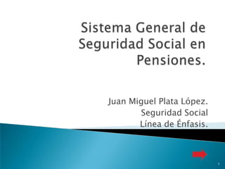 Juan Miguel Plata López.
       Seguridad Social
       Línea de Énfasis.



                           1
 