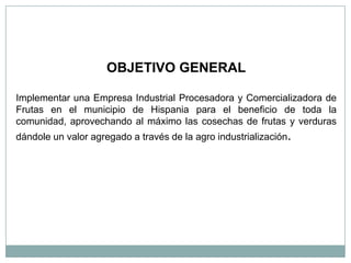 OBJETIVO GENERAL

Implementar una Empresa Industrial Procesadora y Comercializadora de
Frutas en el municipio de Hispania para el beneficio de toda la
comunidad, aprovechando al máximo las cosechas de frutas y verduras
dándole un valor agregado a través de la agro industrialización.
 