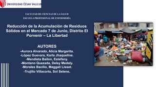 sustentacion de manual de acciones sostenibles | PPTX