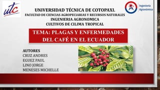 TEMA: PLAGAS Y ENFERMEDADES
DEL CAFÉ EN EL ECUADOR
UNIVERSIDAD TÉCNICA DE COTOPAXI.
FACULTAD DE CIENCIAS AGROPECIARIAS Y RECURSOS NATURALES
INGENIERIA AGRONOMICA
CULTIVOS DE CILIMA TROPICAL
AUTORES
CRUZ ANDRES
EGUEZ PAUL
LINO JORGE
MENESES MICHELLE
 