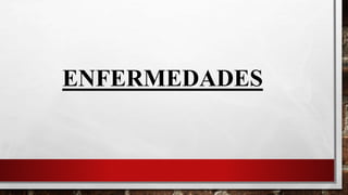 ENFERMEDADES
 