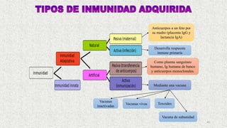 45
Anticuerpos a un feto por
su madre (placenta IgG y
lactancia IgA)
Desarrolla respuesta
inmune primaria
Como plasma sanguíneo
humano, Ig humana de banco
y anticuerpos monoclonales.
Mediante una vacuna
Vacunas
inactivadas
Vacunas vivas Toxoides
Vacuna de subunidad
 
