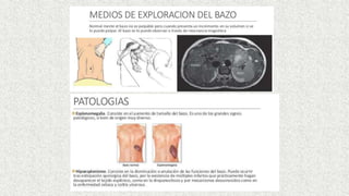 SISTEMA LINFÁTICO-INMUNITARIO