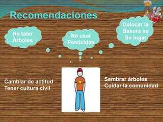 Recomendaciones
No usar
Pesticidas
No talar
Árboles
Colocar la
Basura en
Su lugar
Cambiar de actitud
Tener cultura civil
Sembrar árboles
Cuidar la comunidad
 