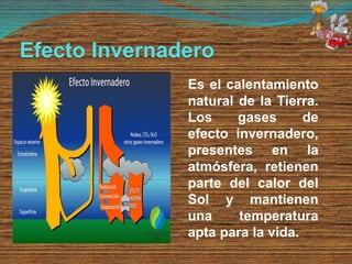 Efecto Invernadero
Es el calentamiento
natural de la Tierra.
Los gases de
efecto invernadero,
presentes en la
atmósfera, retienen
parte del calor del
Sol y mantienen
una temperatura
apta para la vida.
 