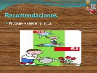 Recomendaciones
 Proteger y cuidar el agua
 
