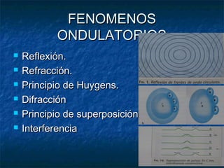 FENOMENOSFENOMENOS
ONDULATORIOSONDULATORIOS
 Reflexión.Reflexión.
 Refracción.Refracción.
 Principio de Huygens.Principio de Huygens.
 DifracciónDifracción
 Principio de superposiciónPrincipio de superposición
 InterferenciaInterferencia
 