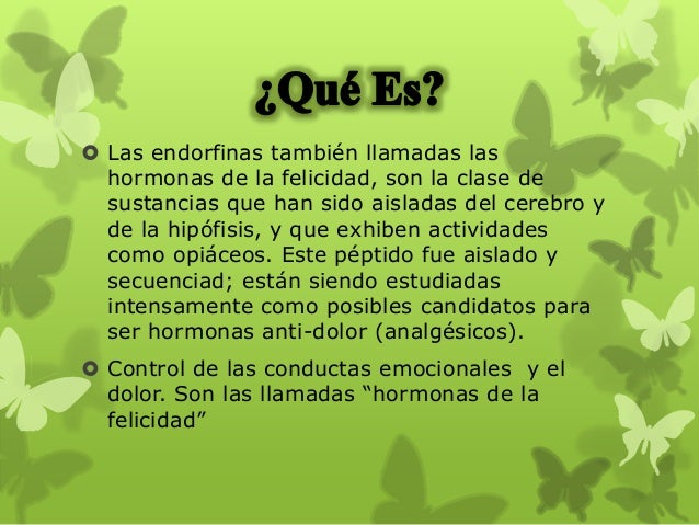 Hormonas Endorfinas<script async src=