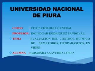 UNIVERSIDAD NACIONAL
DE PIURA
CURSO : FITOPATOLOGIA GENERAL
PROFESOR : ING.EDGAR RODRIGUEZ SANDOVAL.
TEMA :EVALUACION DEL CONTROL QUIMICO
DE NEMATODOS FITOPARASITOS EN
VIDES .
ALUMNA : GOSBINDA SAAVEDRA LOPEZ
 