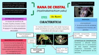 DISTRIBUCIÓN GEOGRAFICA
Un equipo de científicos de
Ecuador, España y Estados Unidos
ha descubierto una nueva especie
de anuro en las selvas amazónicas
de Ecuador.
AMENAZAS
amenazada por:
• la construcción de carreteras
• lexplotaciones mineras y de
petróleo
REGISTROS EN EL ECUADOR
Ocurre en las tierras bajas de la
Amazonía ecuatoriana con la
,Hyalinobatrachium Yaku, una
nueva especie de rana descubierta
por investigadores de la
Universidad de Quito
ESTRATEGIAS DE CONSERVACION
Fomentar y difundir temas
relaciones con la conservación
de esta especie mediante
programas nacionales que
incluyan la participación de las
personas.
Los machos cantan desde el envés de
las hojas, con una duración de 0.27 –
0.4 s
Se encontraron individuos perchando
en el envés de hojas, sobre hojas de
helechos y hierbas, sobre vegetación
Habita en bosque primario y bosque
secundario
manos y pies
color crema con
verde azul.
En machos 20.8–22.3 mm, color verde manzana a
verde amarillento con puntos amarillos y pequeños
melanóforos de color gris a negro
Huesos
blancos
Varían de plateado a
amarillento.
pericardio transparentes, corazón
rojo visible, vejiga urinaria
transparente
(Sin Registro)
hocicotruncadoy
ancho
 
