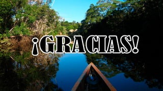 flora y fauna del oriente