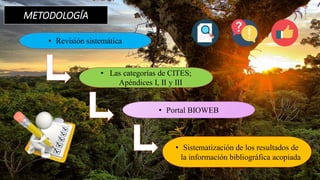 METODOLOGÍA
• Revisión sistemática
• Las categorías de CITES;
Apéndices I, II y III
• Portal BIOWEB
• Sistematización de los resultados de
la información bibliográfica acopiada
 