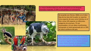 La mayor biodiversidad de aves se encuentra en los bosques
húmedos tropicales. El 50% se encuentran en la Amazonía
De acuerdo con (Torres, 2002), en el Libro
Rojo de las Aves del Ecuador se reportan
cinco especies de aves como Extintas en el
País y otras 245 especies en diferentes
categorías de amenaza, 70 casi
amenazadas y 14 con datos insuficientes,
incluyendo un total aproximado de un 10%
de toda la avifauna del país.
Según informa el (Ministerio del Ambiente,
2016) dentro de las especies amenazada se
encuentra el águila harpía (Harpía harpyja),
en esta misma situación se encuentra el
guacamayo escarlata (Ara Macao).
 
