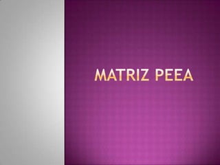Matriz peea