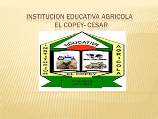 INSTITUCION EDUCATIVA AGRICOLA            EL COPEY- CESAR 
