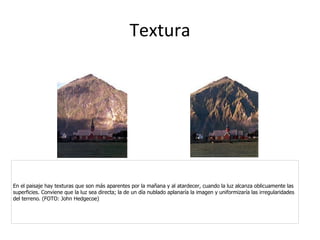 Textura En el paisaje hay texturas que son más aparentes por la mañana y al atardecer, cuando la luz alcanza oblicuamente las superficies. Conviene que la luz sea directa; la de un día nublado aplanaría la imagen y uniformizaría las irregularidades del terreno. (FOTO: John Hedgecoe) 