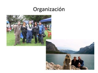Organización 