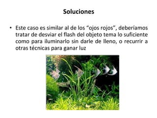Soluciones Este caso es similar al de los “ojos rojos”, deberíamos tratar de desviar el flash del objeto tema lo suficiente como para iluminarlo sin darle de lleno, o recurrir a otras técnicas para ganar luz  