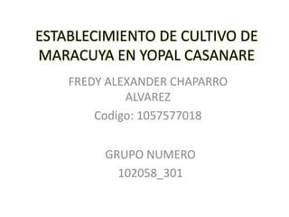 ESTABLECIMIENTO DE CULTIVO DE
MARACUYA EN YOPAL CASANARE
    FREDY ALEXANDER CHAPARRO
             ALVAREZ
        Codigo: 1057577018


         GRUPO NUMERO
           102058_301
 