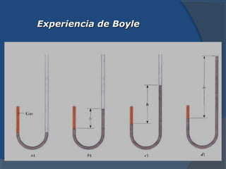 Experiencia de Boyle
 