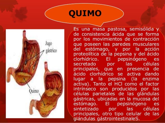 Diapositivas gastritis