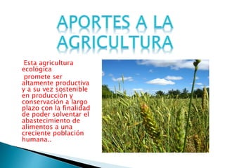 Esta agricultura
ecológica
promete ser
altamente productiva
y a su vez sostenible
en producción y
conservación a largo
plazo con la finalidad
de poder solventar el
abastecimiento de
alimentos a una
creciente población
humana..