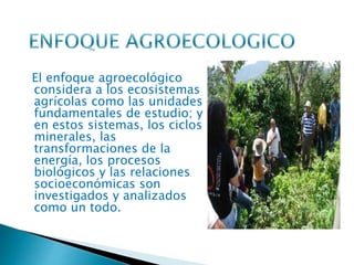 El enfoque agroecológico
considera a los ecosistemas
agrícolas como las unidades
fundamentales de estudio; y
en estos sistemas, los ciclos
minerales, las
transformaciones de la
energía, los procesos
biológicos y las relaciones
socioeconómicas son
investigados y analizados
como un todo.