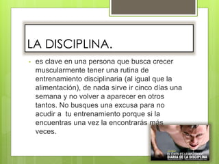 LA DISCIPLINA.
• es clave en una persona que busca crecer
muscularmente tener una rutina de
entrenamiento disciplinaria (al igual que la
alimentación), de nada sirve ir cinco días una
semana y no volver a aparecer en otros
tantos. No busques una excusa para no
acudir a tu entrenamiento porque si la
encuentras una vez la encontrarás más
veces.
 