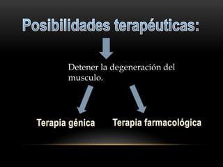 Distrofia Muscular de Duchenne | PPTX