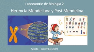 Laboratorio de Biología 2
Herencia Mendeliana y Post Mendelina
Agosto – diciembre 2019
 