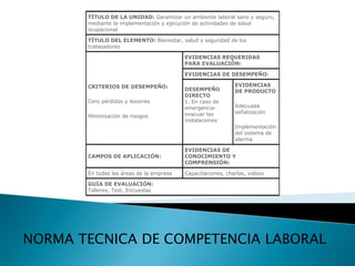 NORMA TECNICA DE COMPETENCIA LABORAL