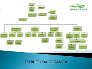 ESTRUCTURA ORGANICA
