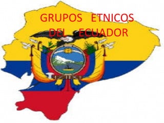 GRUPOS ETNICOS 
DEL ECUADOR 
 
