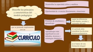 Describe los principios
y características del
modelo pedagógico
Desarrollar la capacidad crítica y analítica
Oportunidad de vivenciar directamente, situaciones
Procesos de enseñanza y
aprendizaje
Aprendizajes más
significativos con
métodos, técnicas y
estrategias dinámicas.
que se pretende implementar
con un
según las diferencias
individuales, sociales y
regionales del país
El currículo debe
considerar las diversas
técnicas pedagógicas
en el marco de una
formación integral
 