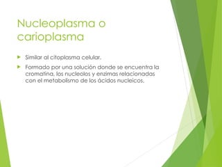 generalidades de la fisiopatologia en postgrado de enfermería | PPT