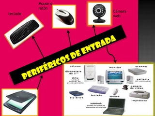 Mouse o
          ratón
                    Cámara
teclado
                    web
 