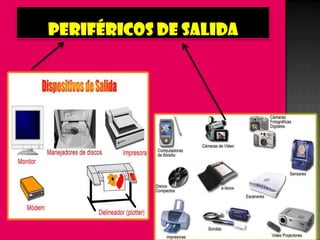 Diapositivas hardware
