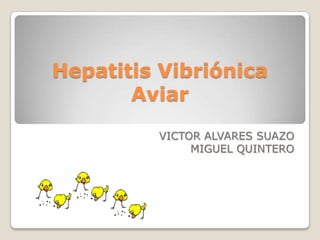 Hepatitis Vibriónica
       Aviar
         VICTOR ALVARES SUAZO
              MIGUEL QUINTERO
 
