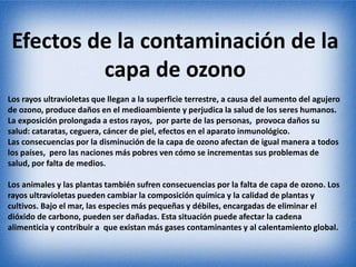 Efectos de la contaminación de la 
capa de ozono 
Los rayos ultravioletas que llegan a la superficie terrestre, a causa del aumento del agujero 
de ozono, produce daños en el medioambiente y perjudica la salud de los seres humanos. 
La exposición prolongada a estos rayos, por parte de las personas, provoca daños su 
salud: cataratas, ceguera, cáncer de piel, efectos en el aparato inmunológico. 
Las consecuencias por la disminución de la capa de ozono afectan de igual manera a todos 
los países, pero las naciones más pobres ven cómo se incrementas sus problemas de 
salud, por falta de medios. 
Los animales y las plantas también sufren consecuencias por la falta de capa de ozono. Los 
rayos ultravioletas pueden cambiar la composición química y la calidad de plantas y 
cultivos. Bajo el mar, las especies más pequeñas y débiles, encargadas de eliminar el 
dióxido de carbono, pueden ser dañadas. Esta situación puede afectar la cadena 
alimenticia y contribuir a que existan más gases contaminantes y al calentamiento global. 
 