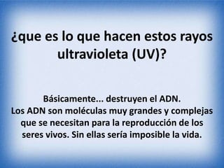 ¿que es lo que hacen estos rayos 
ultravioleta (UV)? 
Básicamente... destruyen el ADN. 
Los ADN son moléculas muy grandes y complejas 
que se necesitan para la reproducción de los 
seres vivos. Sin ellas sería imposible la vida. 
 