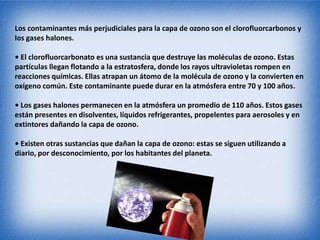 Los contaminantes más perjudiciales para la capa de ozono son el clorofluorcarbonos y 
los gases halones. 
• El clorofluorcarbonato es una sustancia que destruye las moléculas de ozono. Estas 
partículas llegan flotando a la estratosfera, donde los rayos ultravioletas rompen en 
reacciones químicas. Ellas atrapan un átomo de la molécula de ozono y la convierten en 
oxígeno común. Este contaminante puede durar en la atmósfera entre 70 y 100 años. 
• Los gases halones permanecen en la atmósfera un promedio de 110 años. Estos gases 
están presentes en disolventes, líquidos refrigerantes, propelentes para aerosoles y en 
extintores dañando la capa de ozono. 
• Existen otras sustancias que dañan la capa de ozono: estas se siguen utilizando a 
diario, por desconocimiento, por los habitantes del planeta. 
 