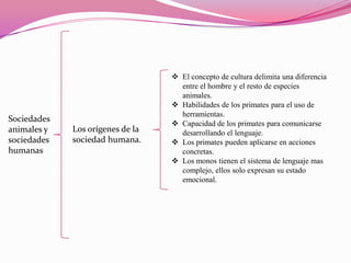 Sociedades
animales y
sociedades
humanas

Los orígenes de la
sociedad humana.

 El concepto de cultura delimita una diferencia
entre el hombre y el resto de especies
animales.
 Habilidades de los primates para el uso de
herramientas.
 Capacidad de los primates para comunicarse
desarrollando el lenguaje.
 Los primates pueden aplicarse en acciones
concretas.
 Los monos tienen el sistema de lenguaje mas
complejo, ellos solo expresan su estado
emocional.

 