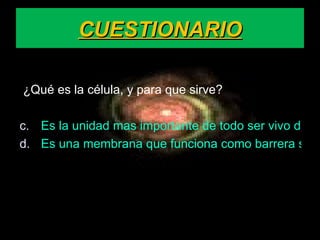 CUESTIONARIO ¿Qué es la célula, y para que sirve? Es la unidad mas importante de todo ser vivo de forma, que constituye la parte mas pequeña dotada de vida. Es una membrana que funciona como barrera selectiva de sustancias. 