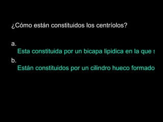 ¿Cómo están constituidos los centríolos? a.  Esta constituida por un bicapa lipidica en la que se hallan inmersas diferentes proteínas que pueden desplazarse lateralmente en ella. b.  Están constituidos por un cilindro hueco formado por nueve grupos de tres microtubulos. 