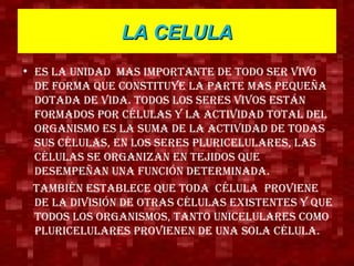 LA CELULA Es la unidad  mas importante de todo ser vivo de forma que constituye la parte mas pequeña dotada de vida. Todos los seres vivos están formados por células y la actividad total del organismo es la suma de la actividad de todas sus células, en los seres pluricelulares, las células se organizan en tejidos que desempeñan una función determinada. También establece que toda  célula  proviene de la división de otras células existentes y que todos los organismos, tanto unicelulares como pluricelulares provienen de una sola célula.  